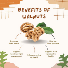 American Walnut Kernels - Best Akhrot Price In Pakistan