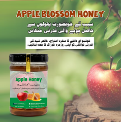 Pakish Bazar Apple Honey - 500 Gram - 100% Premium Quality